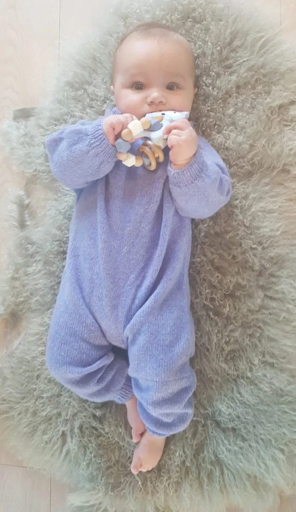 "Babyblue" Coon - Bilde 2
